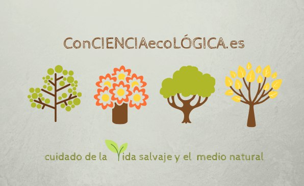 conCIENCIA ecoLGICA - Reconquista ecolgica - Permacultura vegana - Permacultura Mediterrneaa
